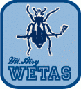 Wetas